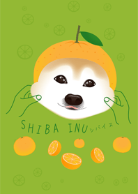 SHIBA INU(ORANGE ver.)