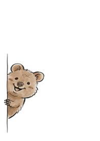 A Peeking Smiling Quokka