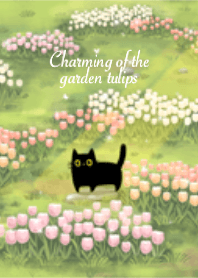 Charming of the garden tulips