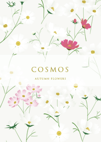green tylish cosmos 07_2