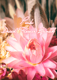 ピンクのドライフラワー