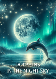 Dolphins and full moon in the night sky3