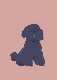 Black poodle
