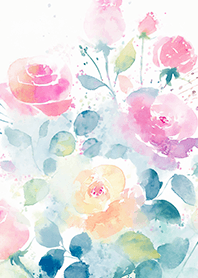 Beautiful rose flower(R4277)