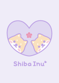 Shiba Inu Cherry blossoms - Purple