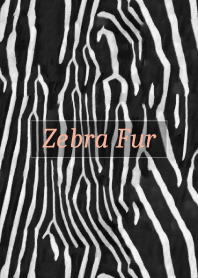 Zebra Fur 58