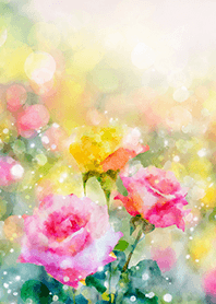 Beautiful rose flower(R2858)