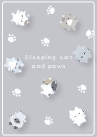 gray Sleeping cat and paws 05_2