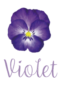 viola image