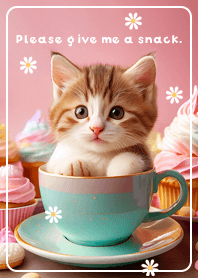 brown Cat waiting for snacks 02_2