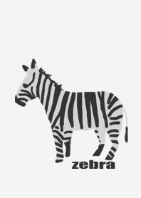 zebra color