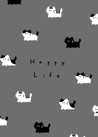 .แมว.　gray black