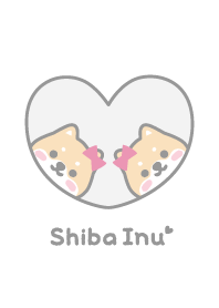 柴犬 色帶 [白色]