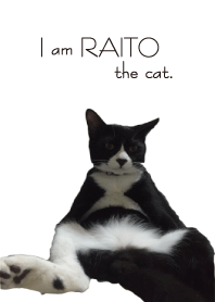 I am RAITO the cat.