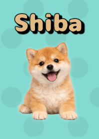 Shiba Inu Plush Theme Green 08