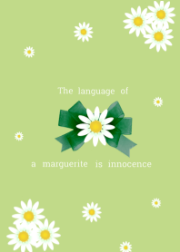 Flower(Marguerite)