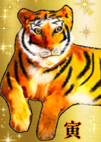 Shiny tiger GOLD