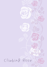 Climbing Rose*purple
