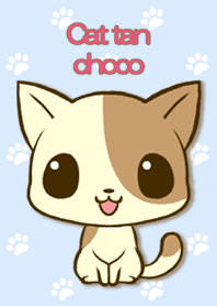 Cat tan choco