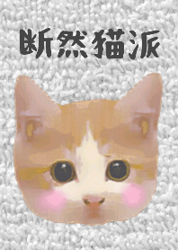 ♥️断然猫派1♥️
