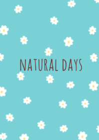 natural flower (green pink)