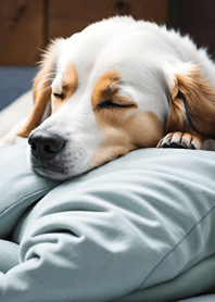 Mountain, Sea, and Moonlit Night 287c1a