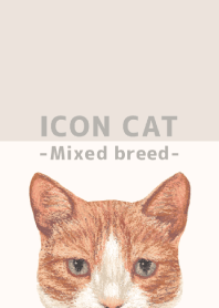 ICON CAT - Mixed breed cat - BEIGE/01