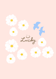 Blue Bird of Happiness White Flower17 J