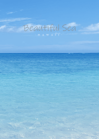 Beautiful Sea Hawaii 7