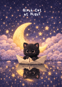Black Cat at Night