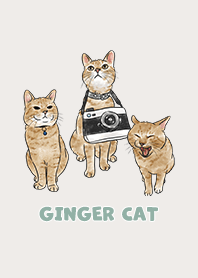 gingercat2 / light beige