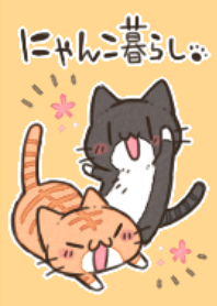 にゃんこ暮らし