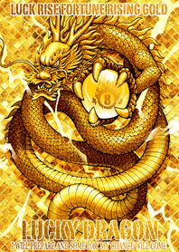 金運上昇 運気上昇 幸運の龍神 8