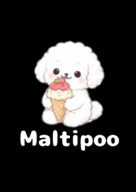 柔軟馬爾泰迪主題2 B-W 05