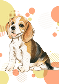 Beagle by Ystudio