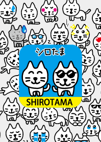 SHIROTAMA Cat 1.0 Theme