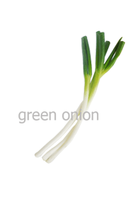 green onion (長ネギ)