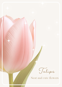 beige Simple Tulip 02_2