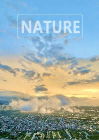 The nature 22
