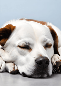 Bright Moon and Dawn 8D49f8