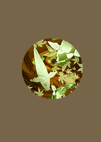 Japanese carp Orange of luck