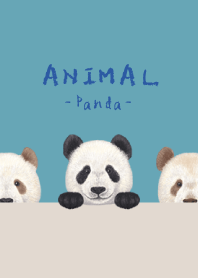 ANIMAL - Panda - TURQUOISE BLUE