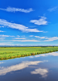 大自然の釧路湿原