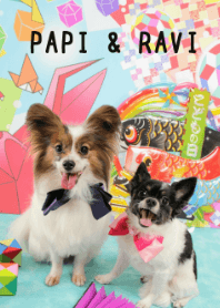 PAPI & RAVI