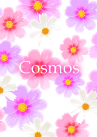 Cosmos theme