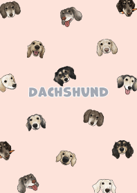 dachshund4 - peach pink