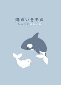 Sea creatures killer whales and beluga