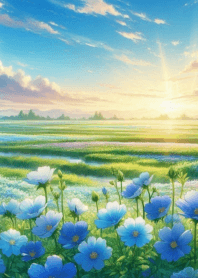 Beautiful nature  flower field no.28