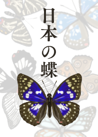 Japanese Butterflies