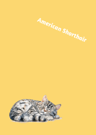 American Shorthair Day on light yellow